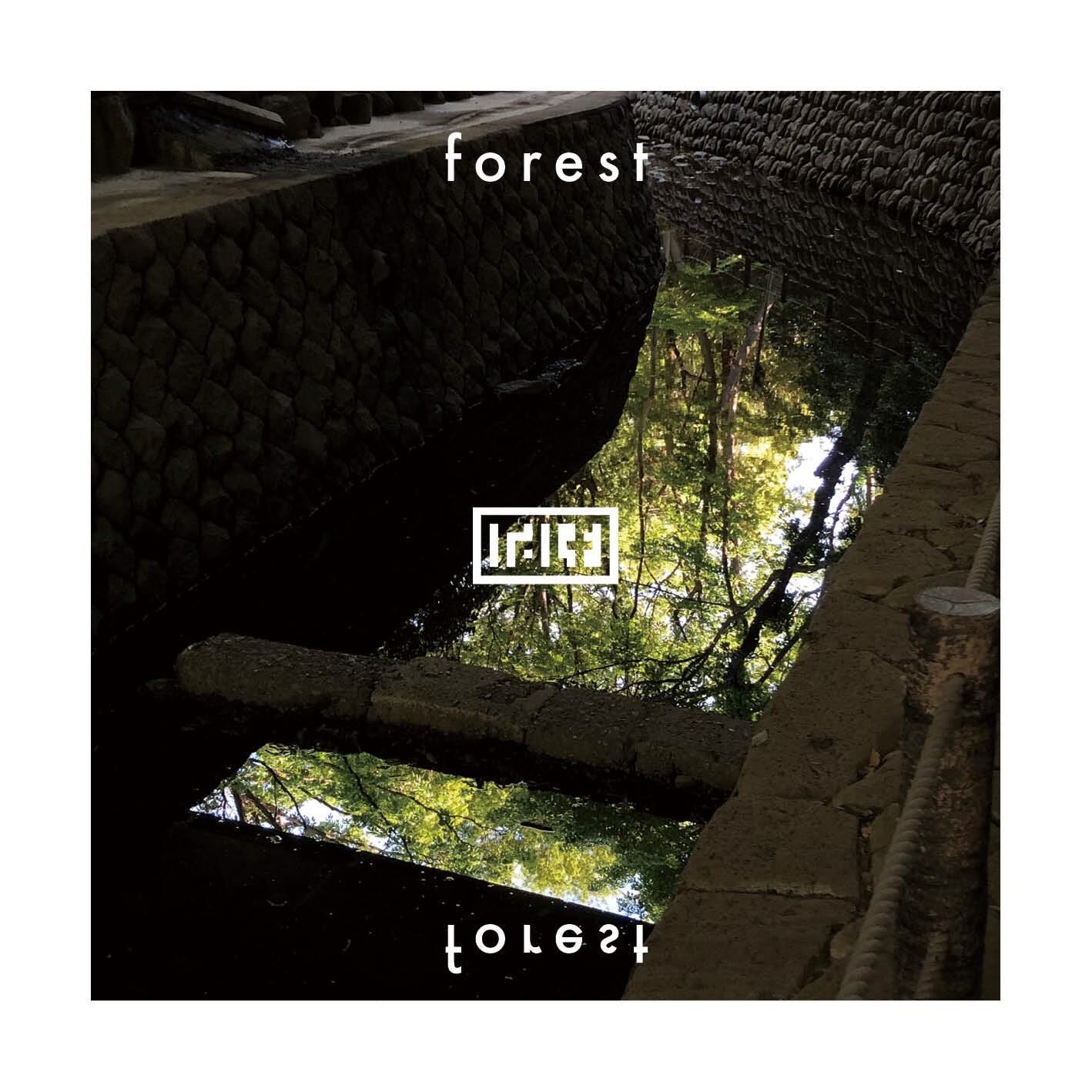 forest / tadanaka